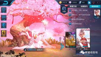 五画皮肤爆料视频下载,揭秘新英雄神秘外观与技能