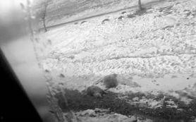 长春白城最新爆料,揭秘神秘事件背后的真相