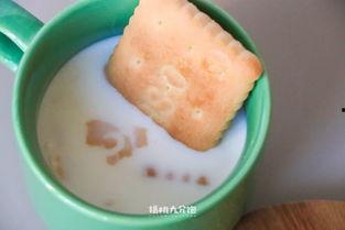 山东钙奶饼干娱乐吃瓜酱